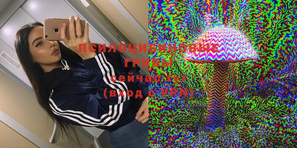 таблы Няндома