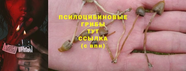 apvp Нязепетровск