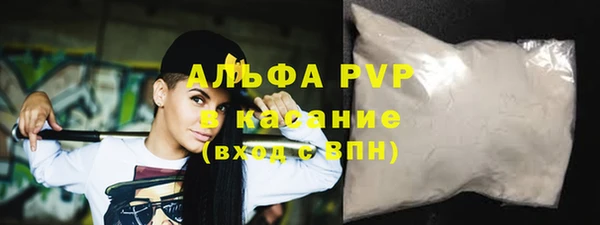 индика Инсар