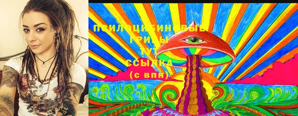 таблы Няндома