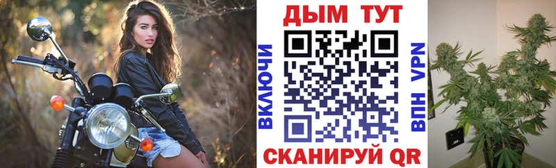 дарнет шоп  hydra как зайти  МАРИХУАНА Ganja  Байкальск 